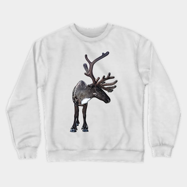 Santa Claus Reindeer Crewneck Sweatshirt by FotoJarmo